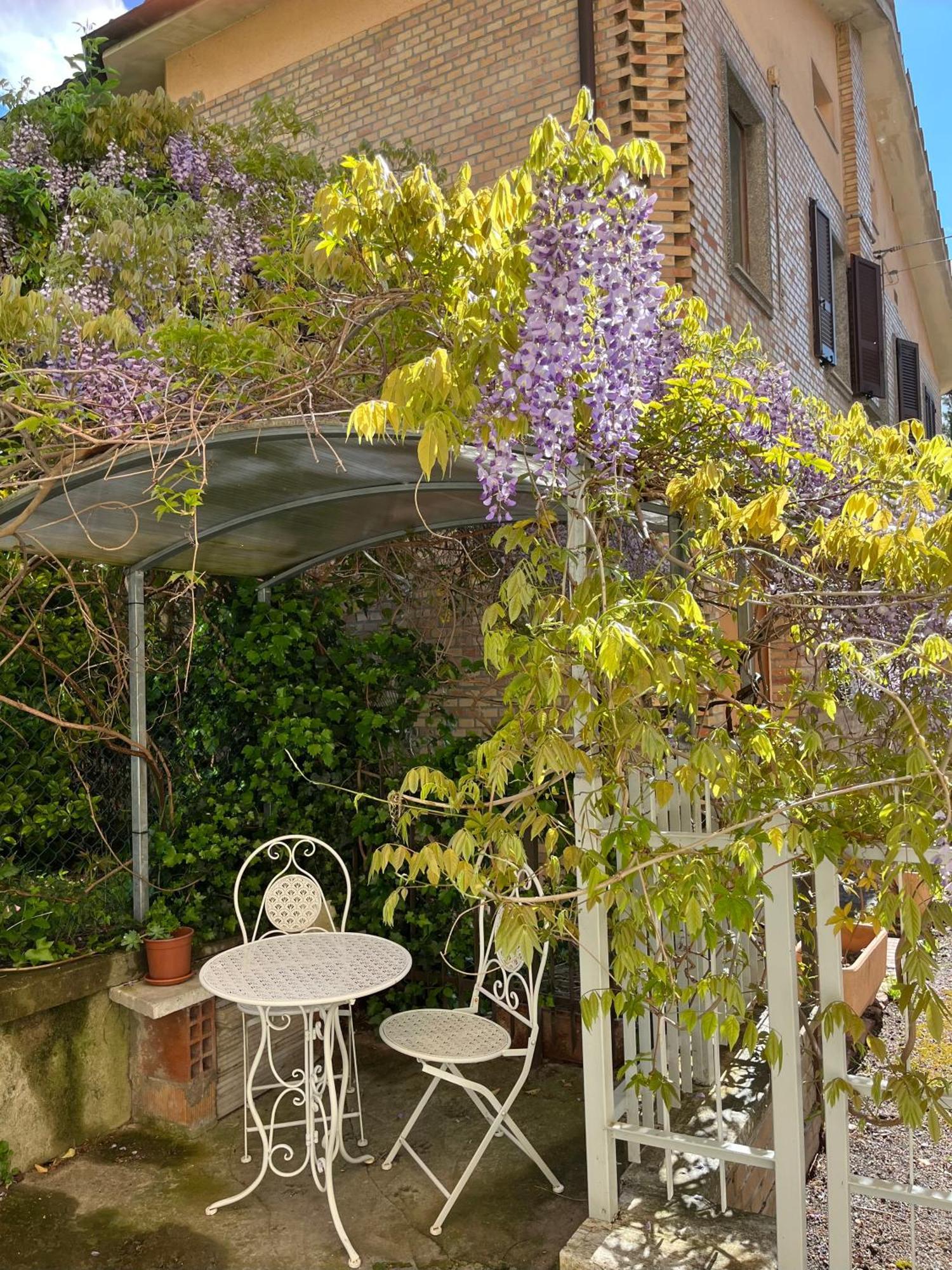 Il Glicine - Monolocale A Due Passi Dal Centro Villa Urbino Exteriör bild